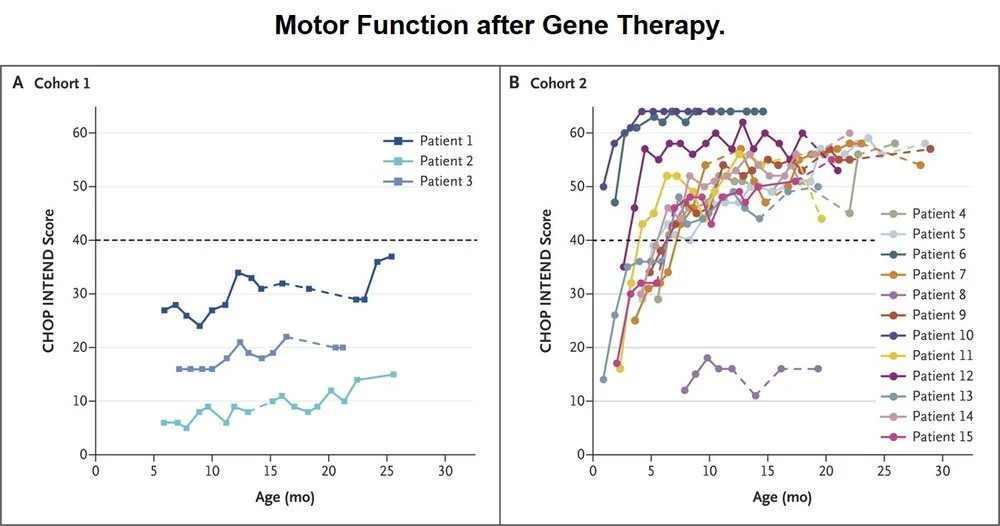 Motor Function after Gene Therapy