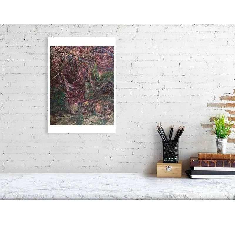 cascading thorn bushes1.jpg