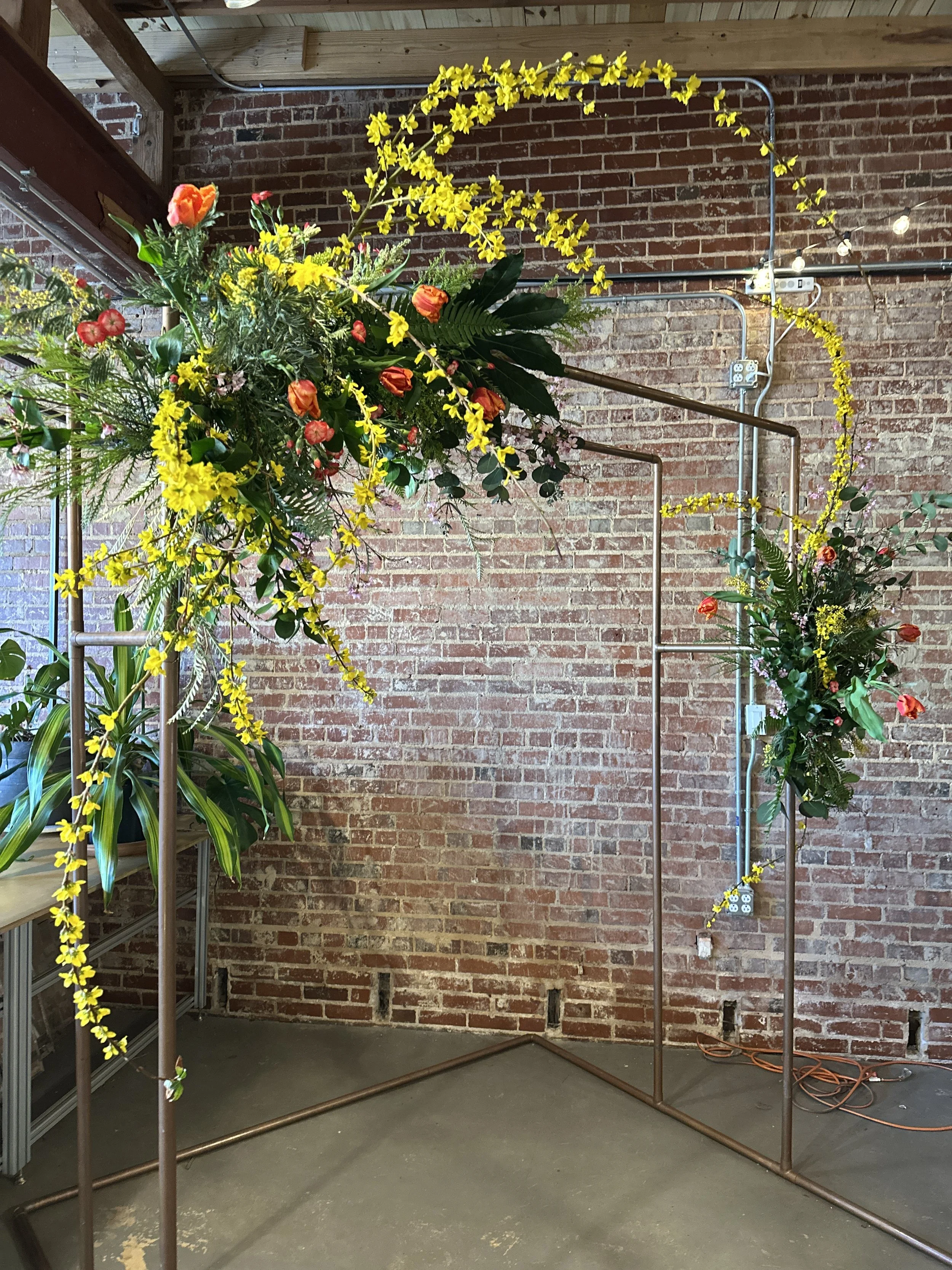 forsythia tulips copper arbor march 2025.JPG