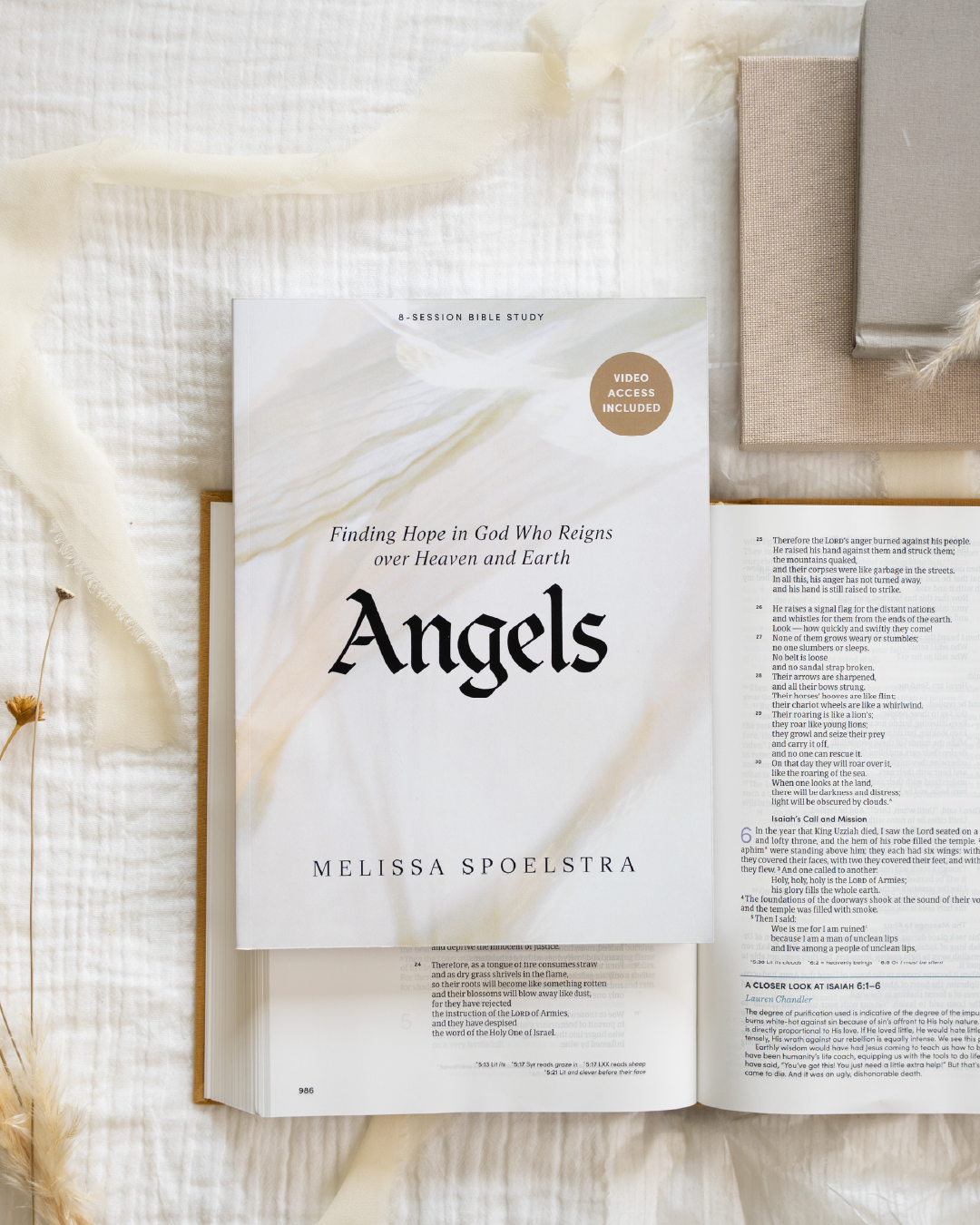 Women's Studies Begin