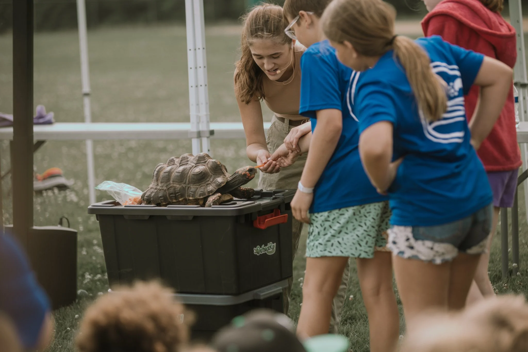 A girl demonstrating a tortoise during an educational show at an outdoor event with children gathered around.