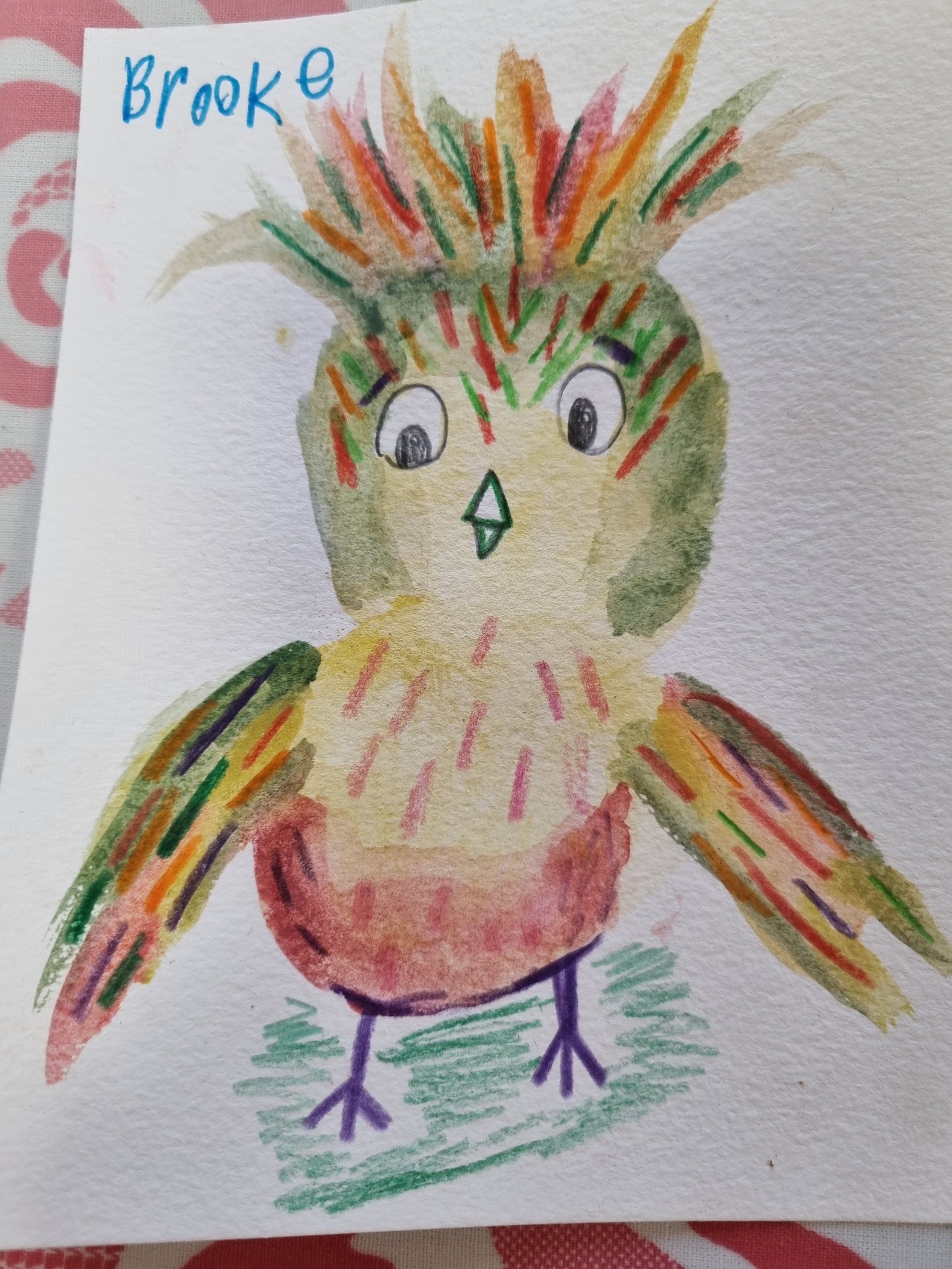 bird.jpg