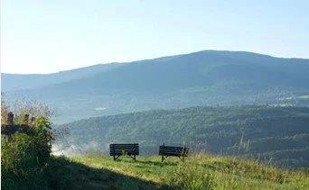 Screenshot 2025-11-26 082805.jpg