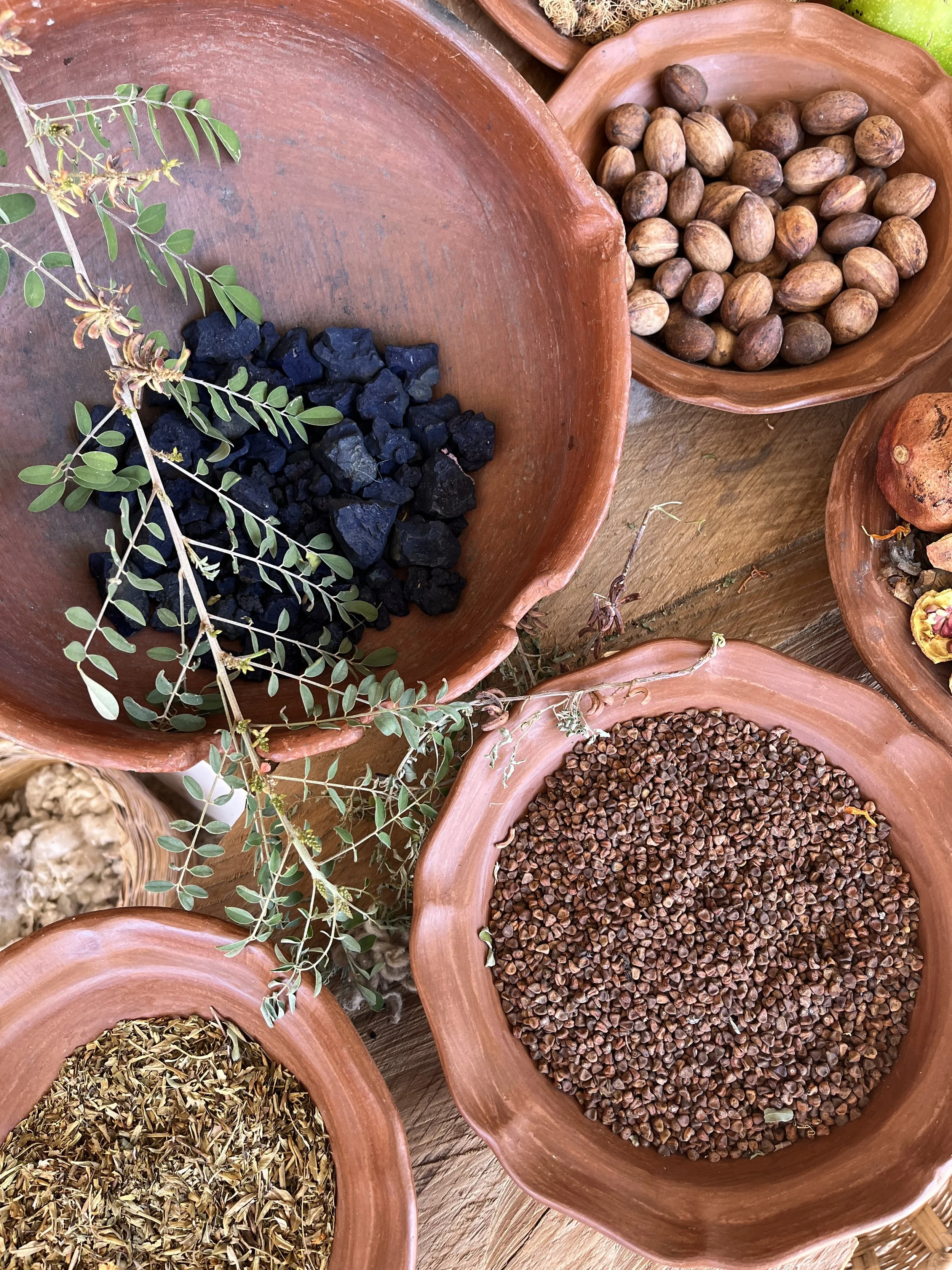 Mexico Interwoven 2027