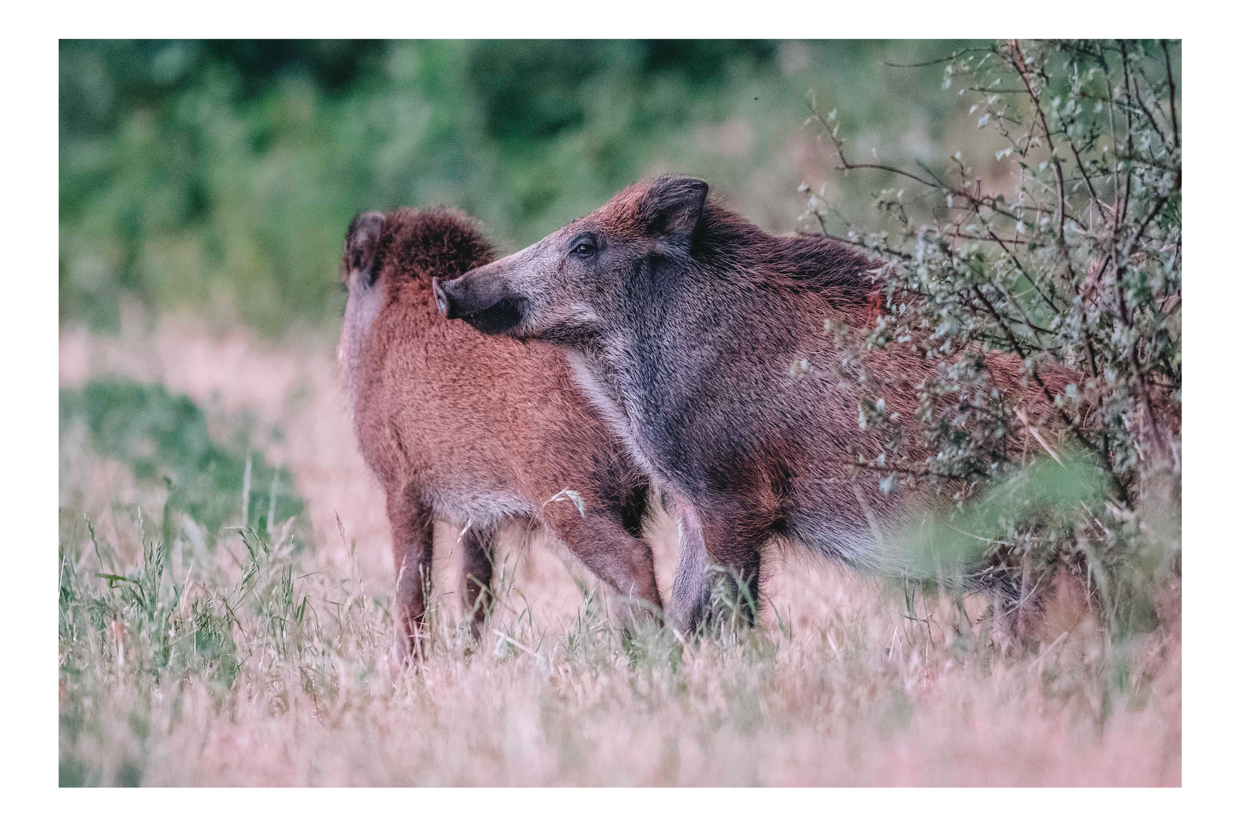 Cartes envoyées3.png
