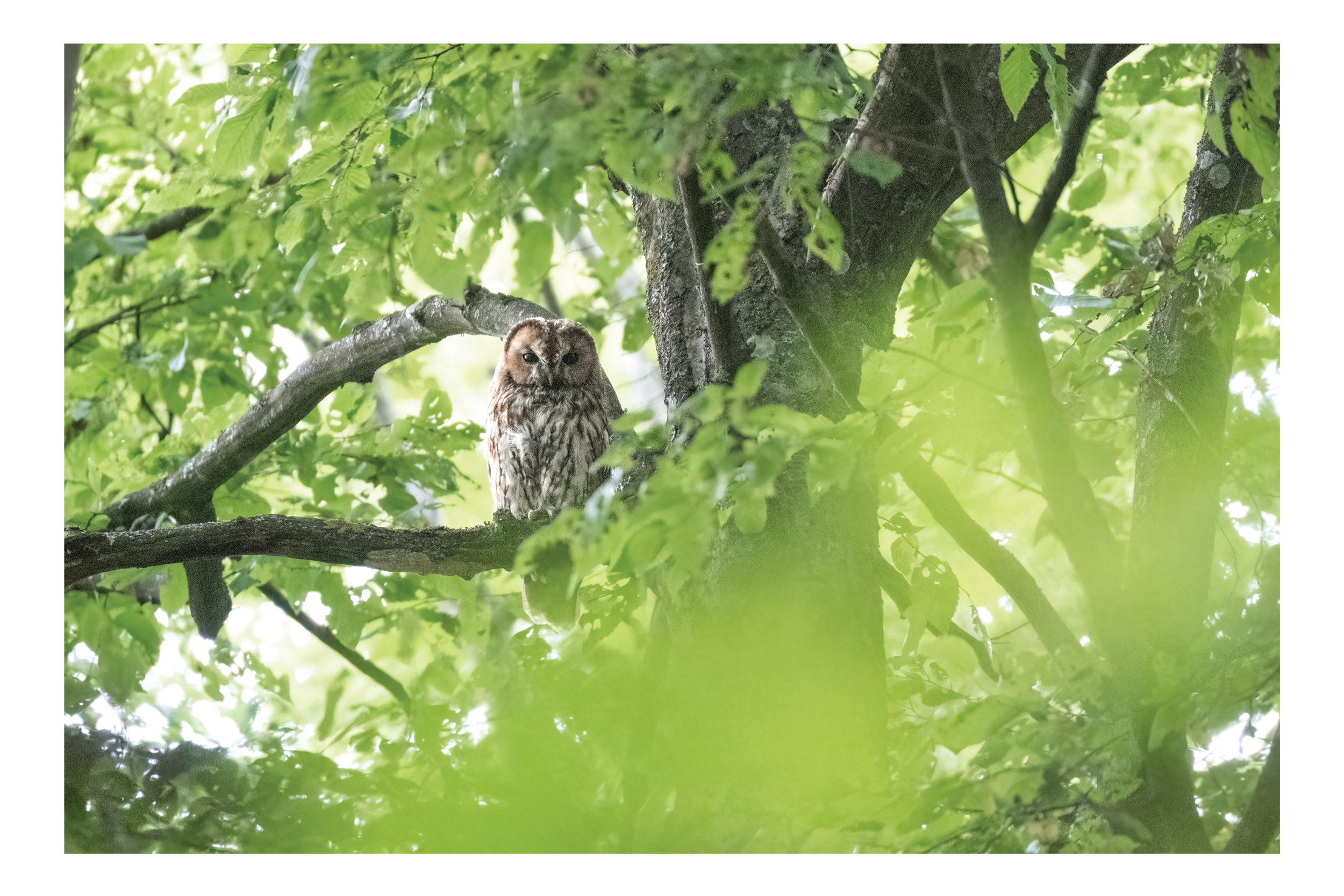 Cartes envoyées8.png