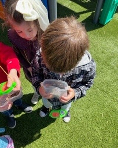 Spring is in the air at Aleph and we could not be more excited!!
We covered rainbows, plants, insects, planting, earth day and more!