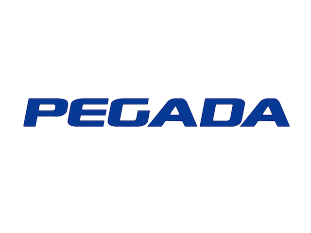 Pegada Shoes