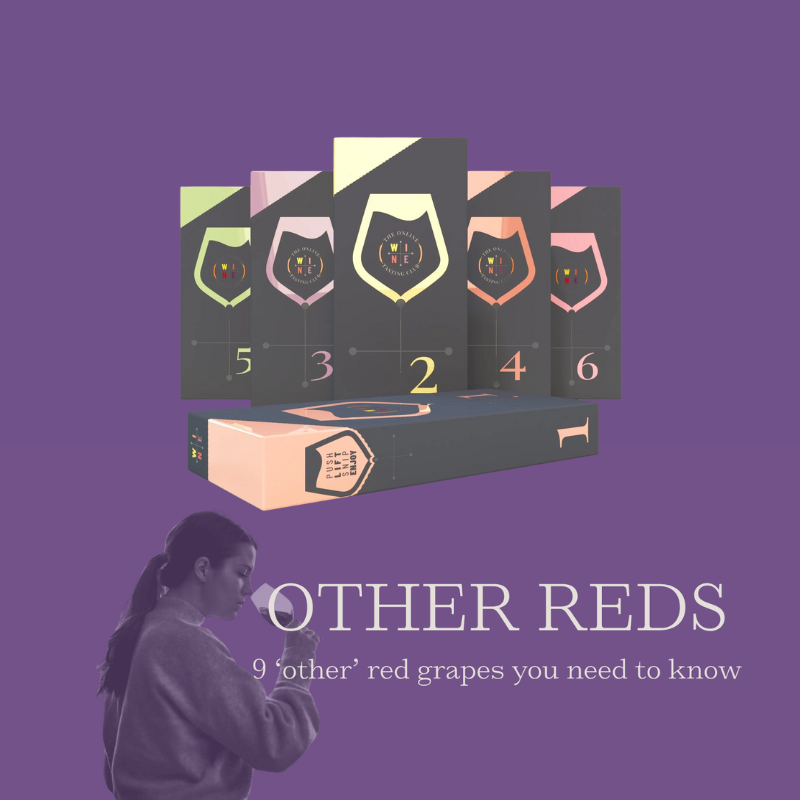 Sign Up: Other Reds Wine Pack & Course
