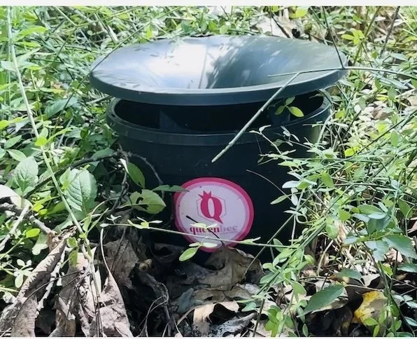 black mosquito station bucket with pink Queen Bee sticker