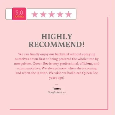 A pink review card displaying a 5-star rating and a highly recommended review praising Queen Bee's professionalism and efficiency in dealing with mosquitoes, signed by James from Google Reviews.