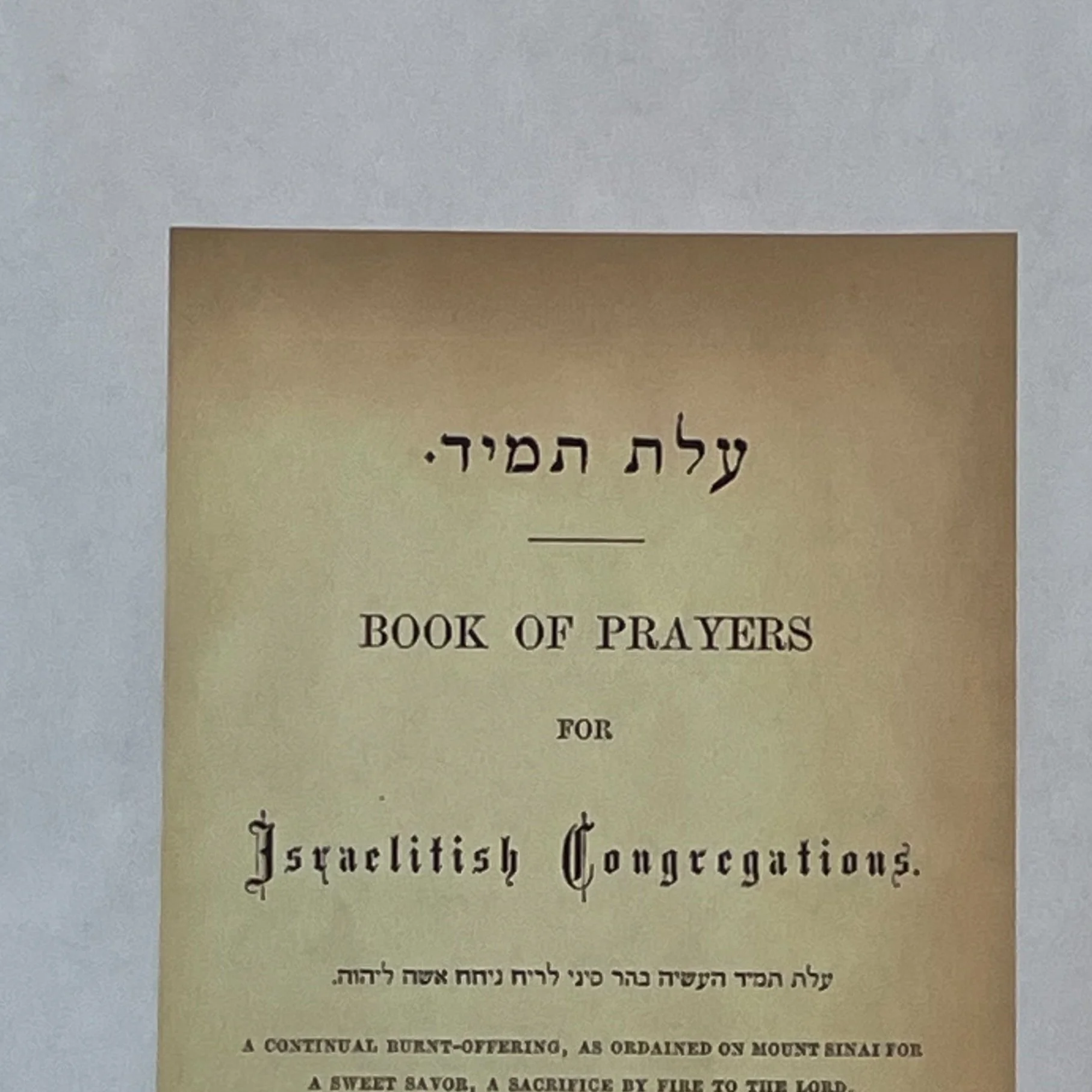 Tisha B'Av Study: A Collision with Modern Times
