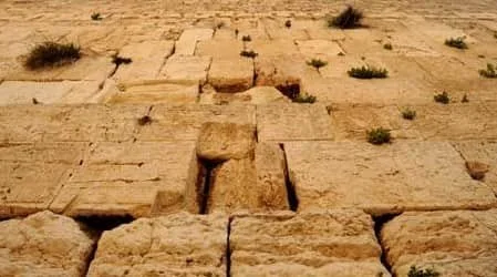 Against Zealots: The Meaning of Tisha B'Av in 2022