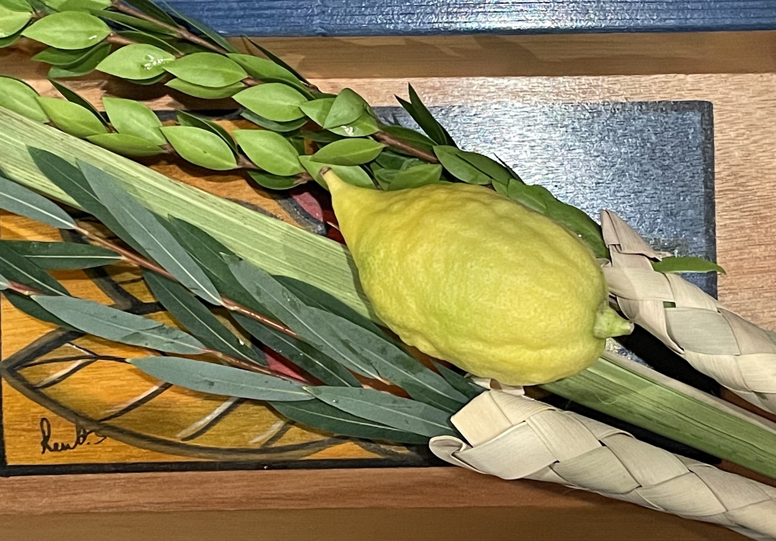 Sukkot Without a Sukkah