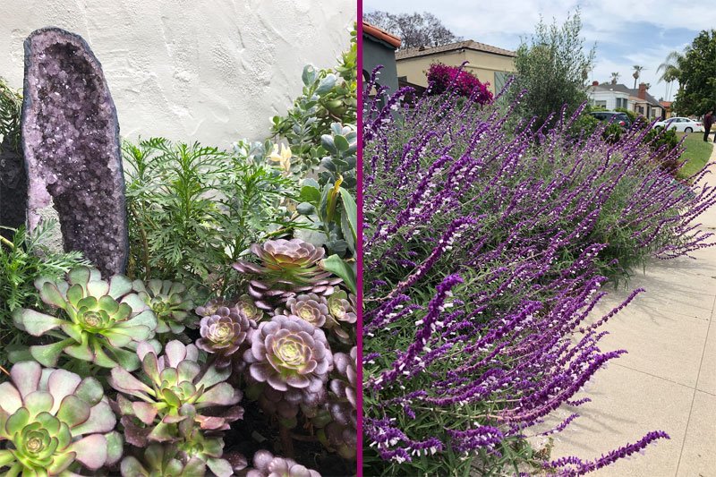 2019 Gardens 34.jpg