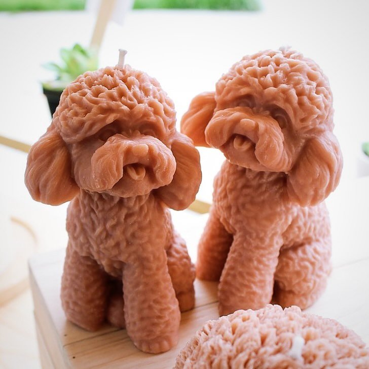 Oodles of Poodles 🐩 over here and we can&rsquo;t get enough. Our Poodle Doodle 🐾candles are back in stock and these puppies are ready to be adopted. 😍 
Shop link in bio for these and more of our faves!