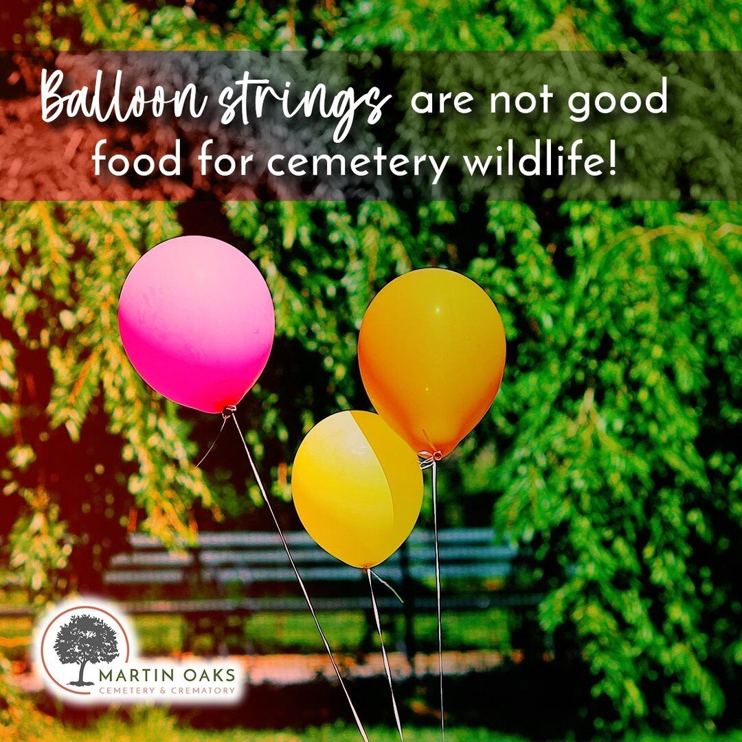 Balloon strings hurt our wildlife if ingested. This is why deflated balloons are always removed from graves immediately, safeguarding our wild residents.