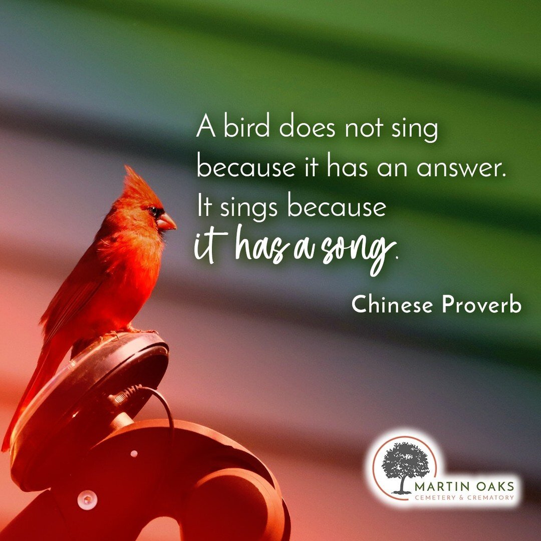 A bird does not sing because it has an answer. It sings because it has a song.  Chinese Proverb