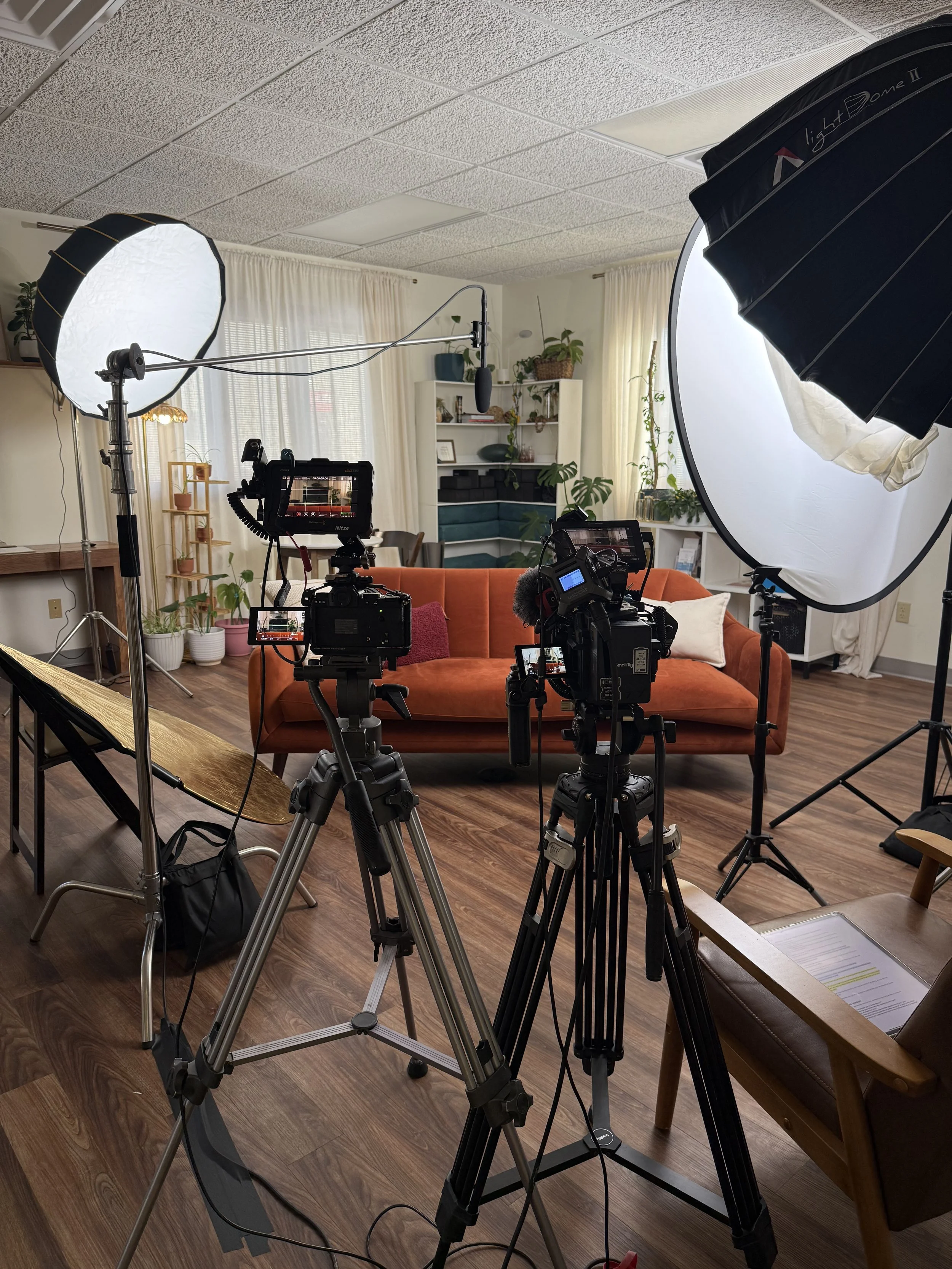 A room set up for filming or photography, with professional lighting, cameras on tripods, a desk, a sofa, bookshelves, and various potted plants in the background.