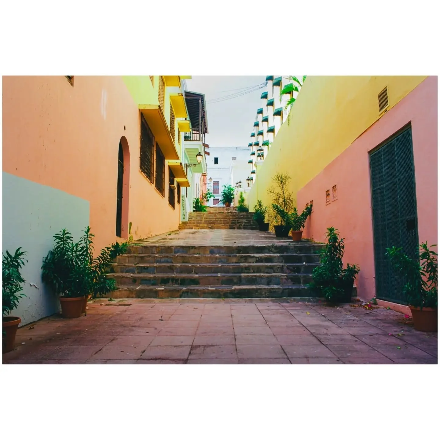 Colors of San Juan. Nikon FM + Ektar 100
.
.
.
#puertorico #film #35mmfilm #ektar #kodak #madewithkodak