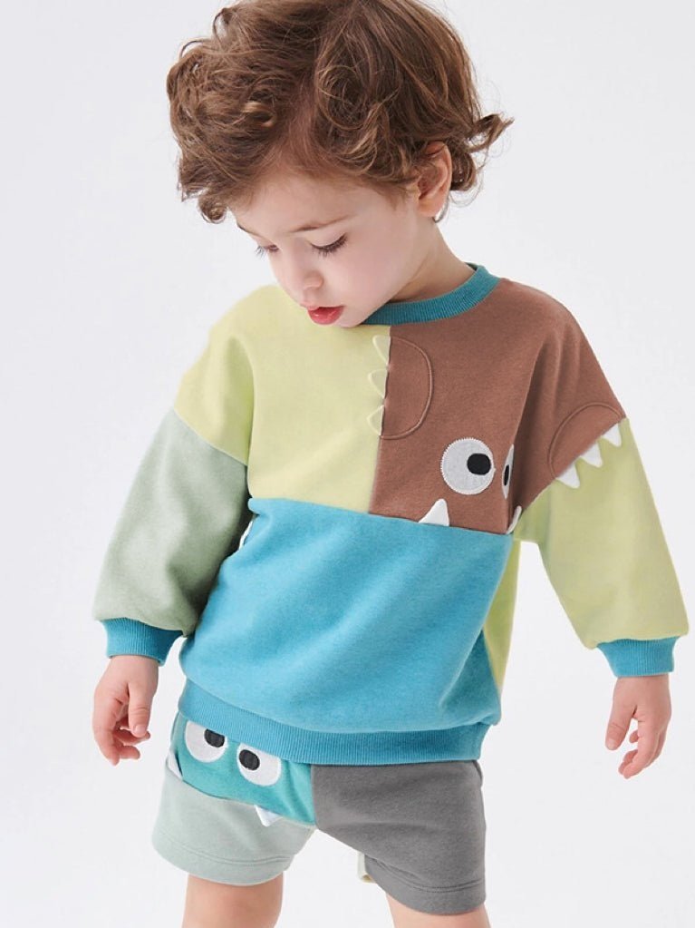 Boy's Cute Sweatshirt