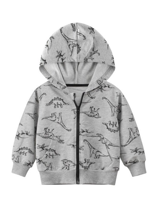 Boy's Zipper Front Hoodie