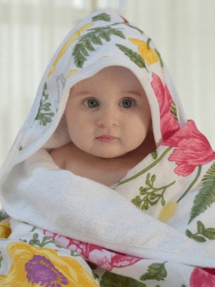 Babies Hooded Towel