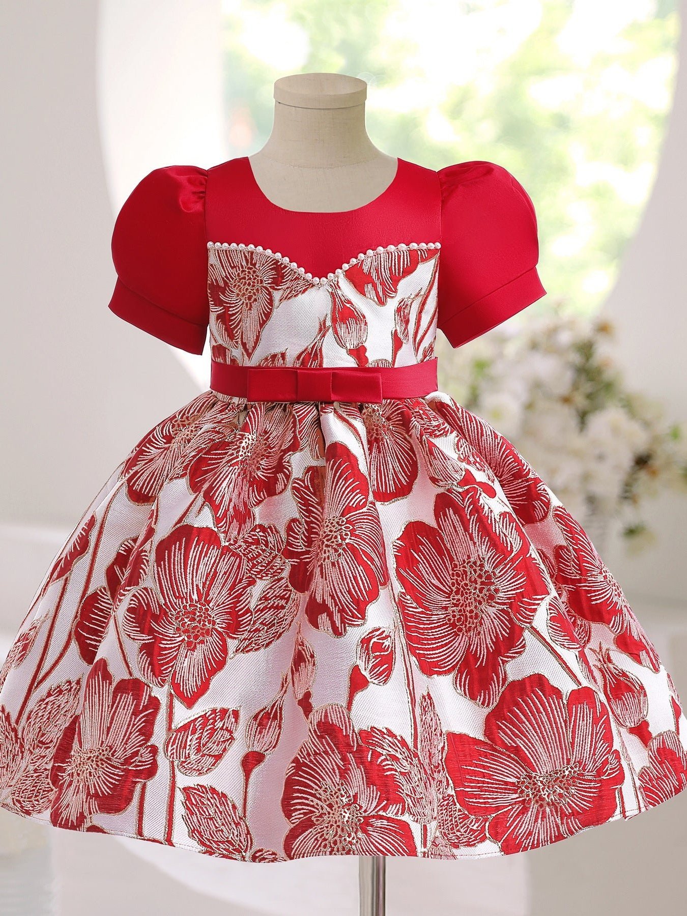 Girl's Princess Dress