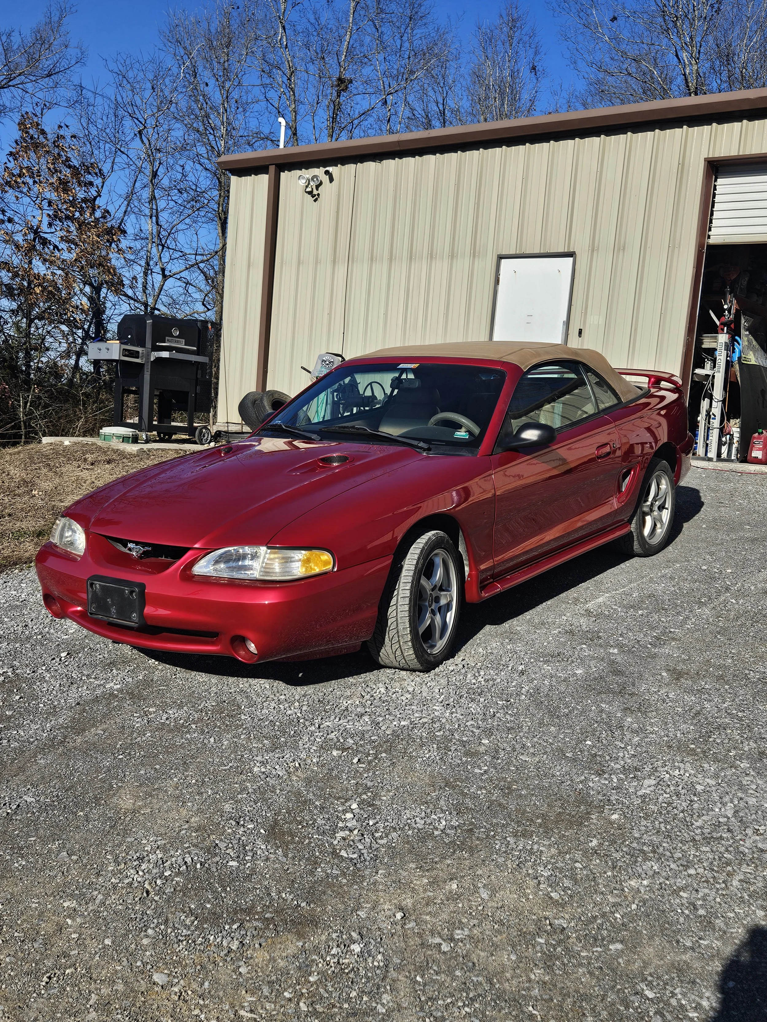 98' Mustang Cobra - Full Repaint