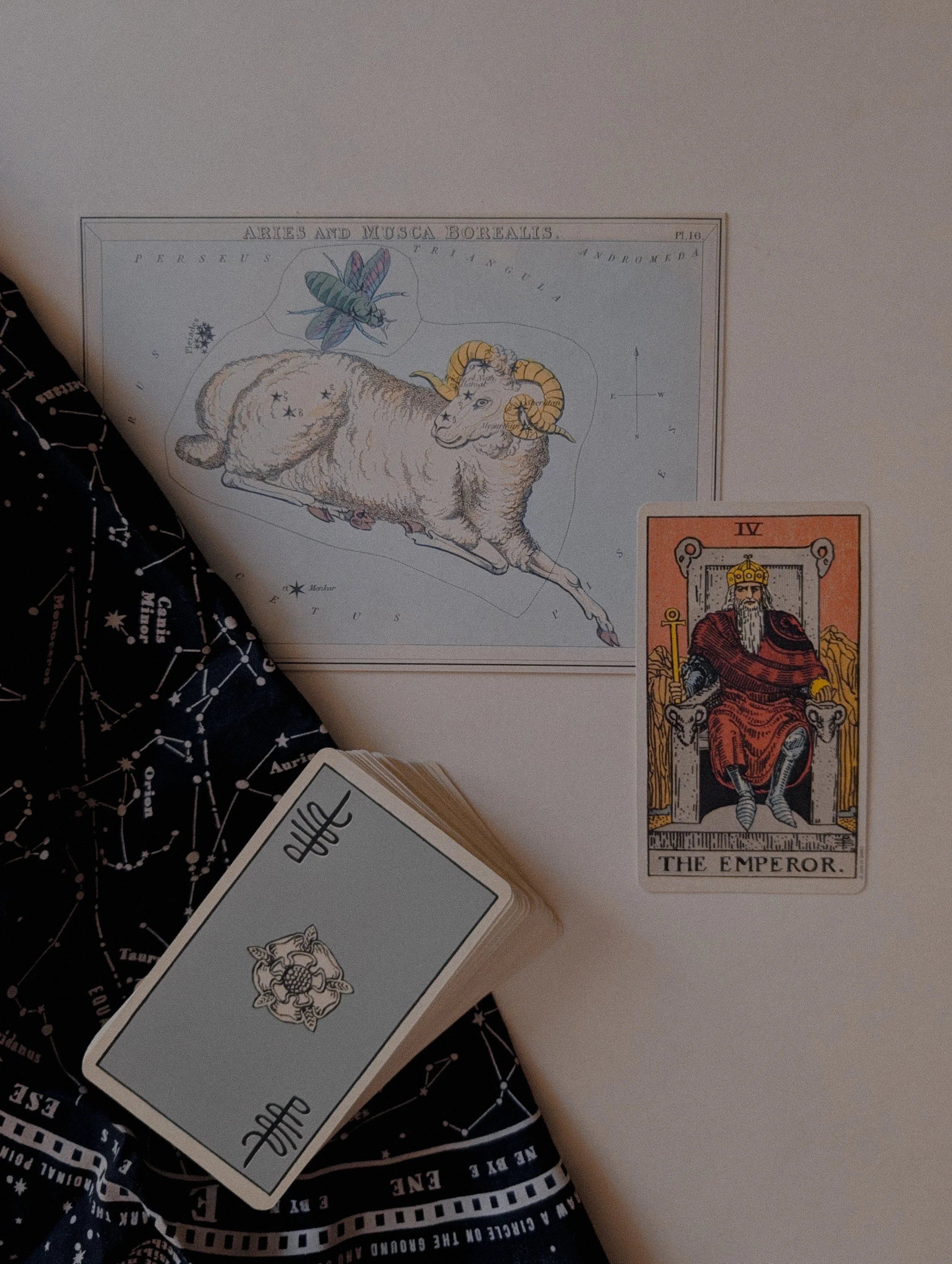 ♈ BOOK A ONE-CARD ARIES SEASON TAROT READING 🚨
