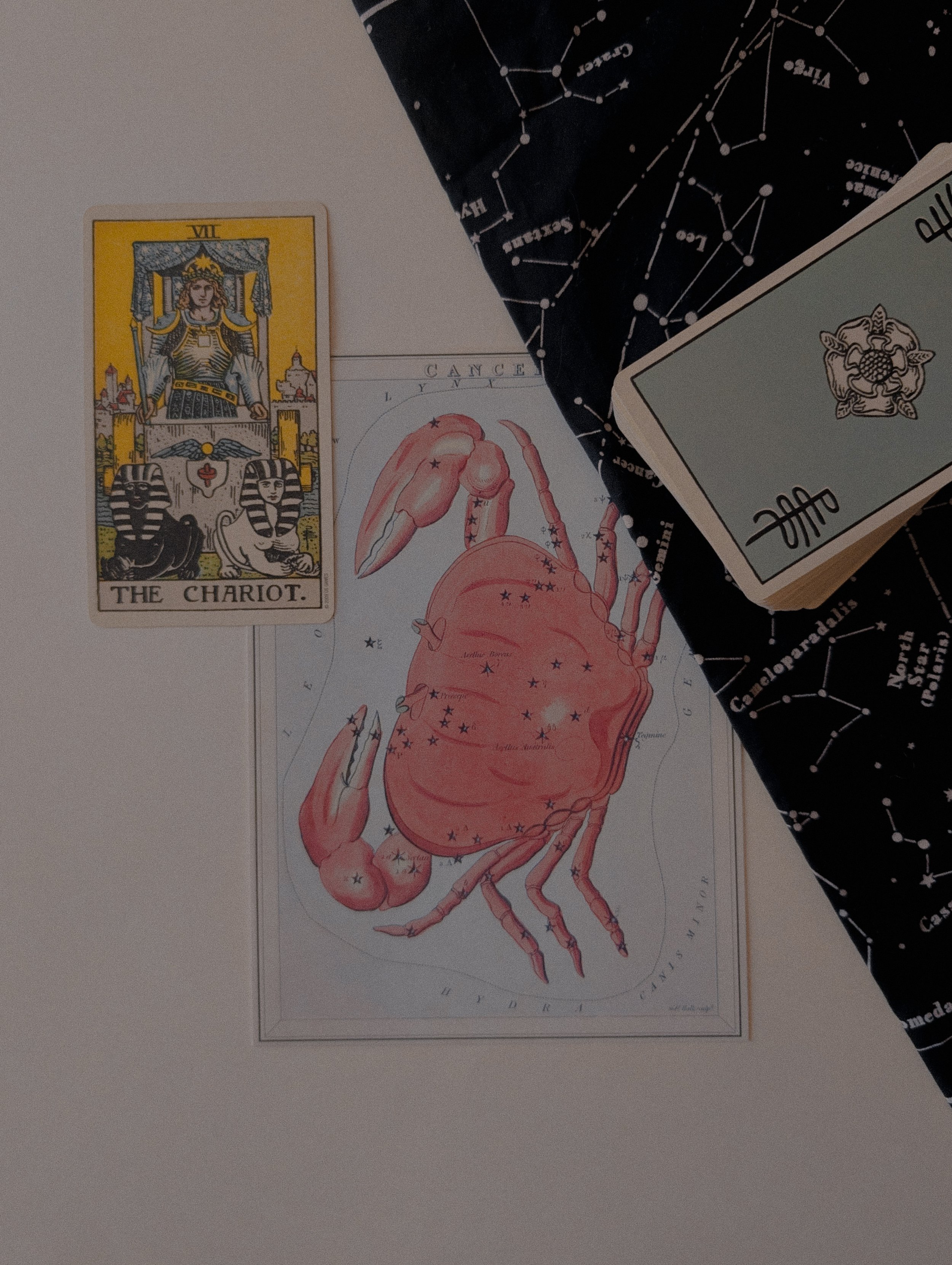 ♋ BOOK A ONE-CARD CANCER SEASON TAROT READING 🦀