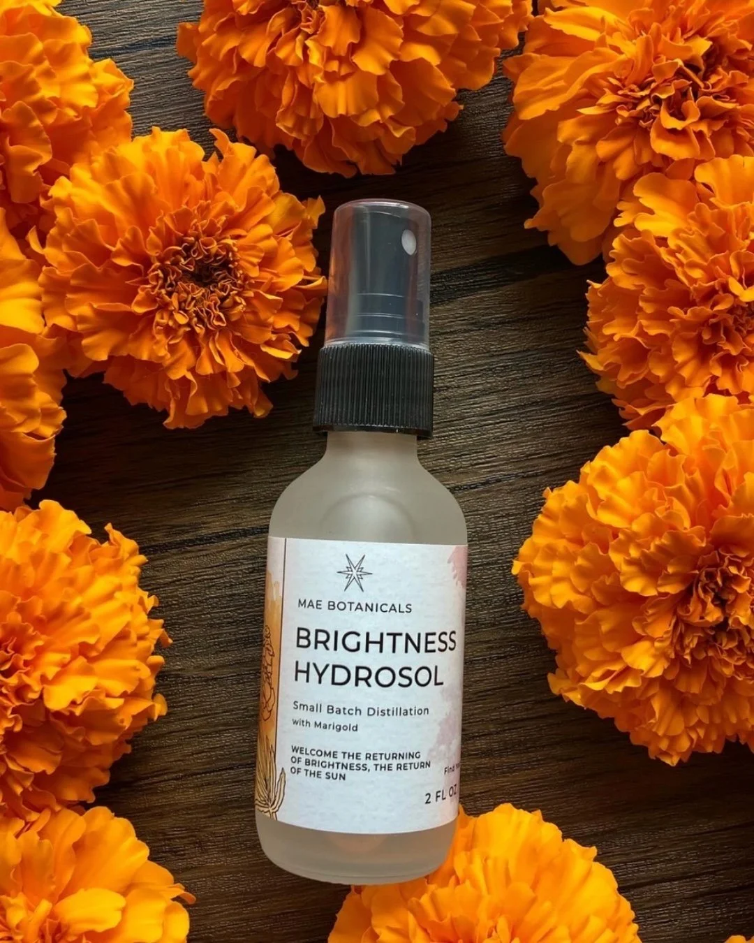 Just two days until our last Valley Made Holiday Markets of the season! See you at Hillcrest Lodge Sat + Sun from 10am-4pm🤩

Makers Featured:
@maebotanicals
@studiosardine
@fillerfogg
@pnr_design_
@ritual_mischief