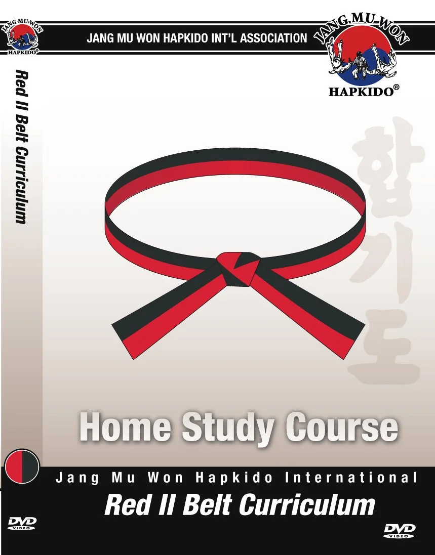 Hapkido Red Belt Black Stripe 2 Home Study
