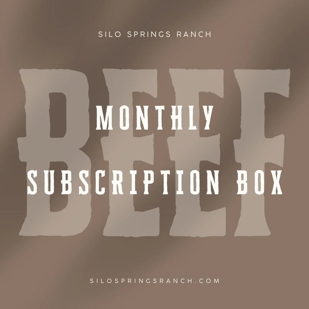 brief subscription.jpg