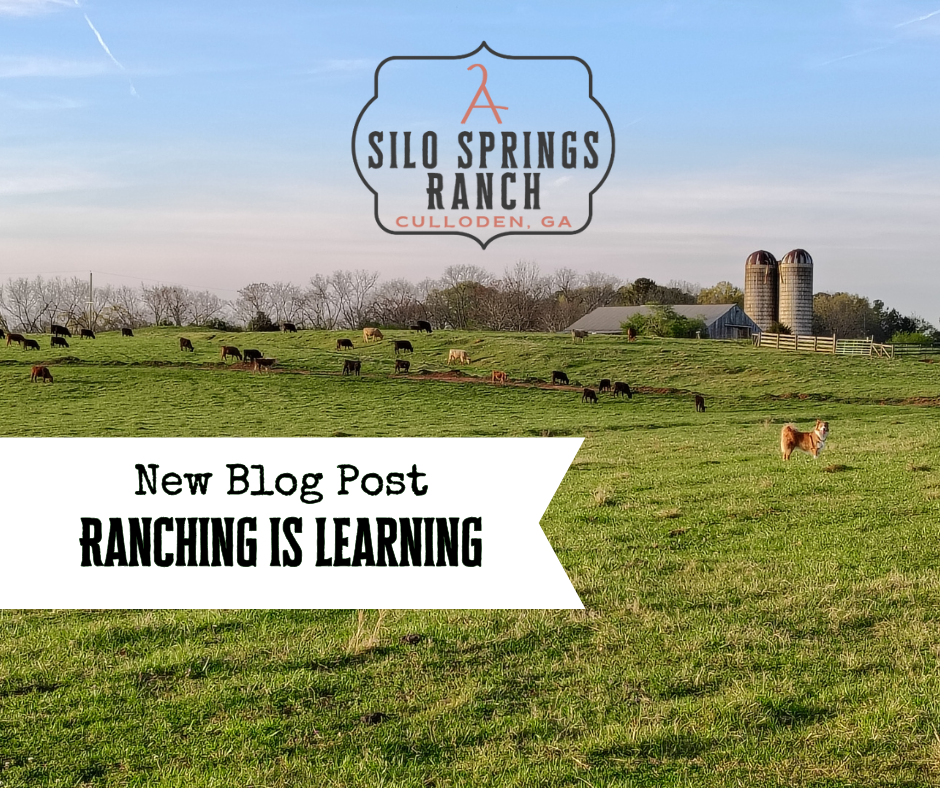 What I’ve Learned Since Starting the Ranch