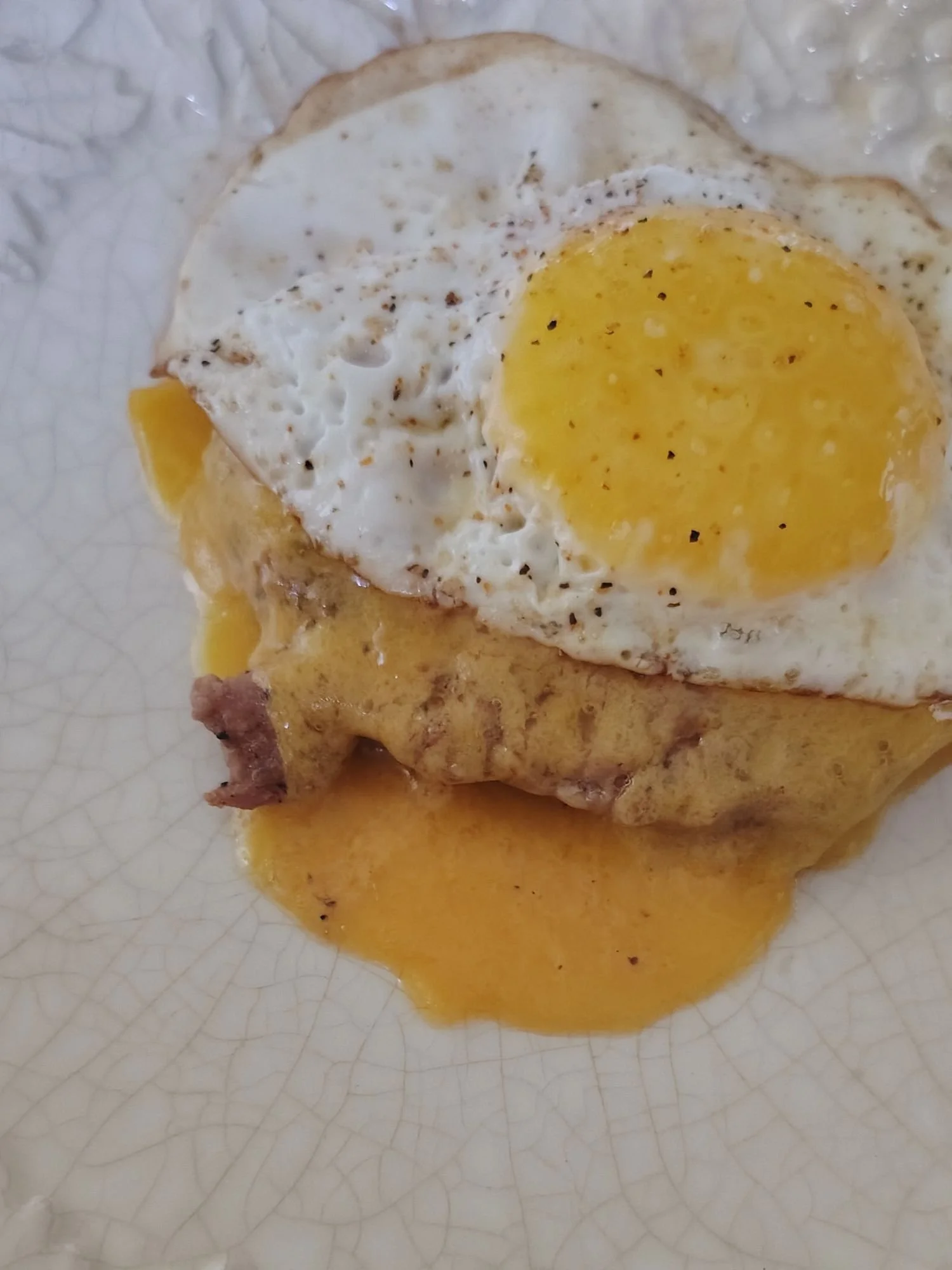 farm fresh chicken egg.jpg