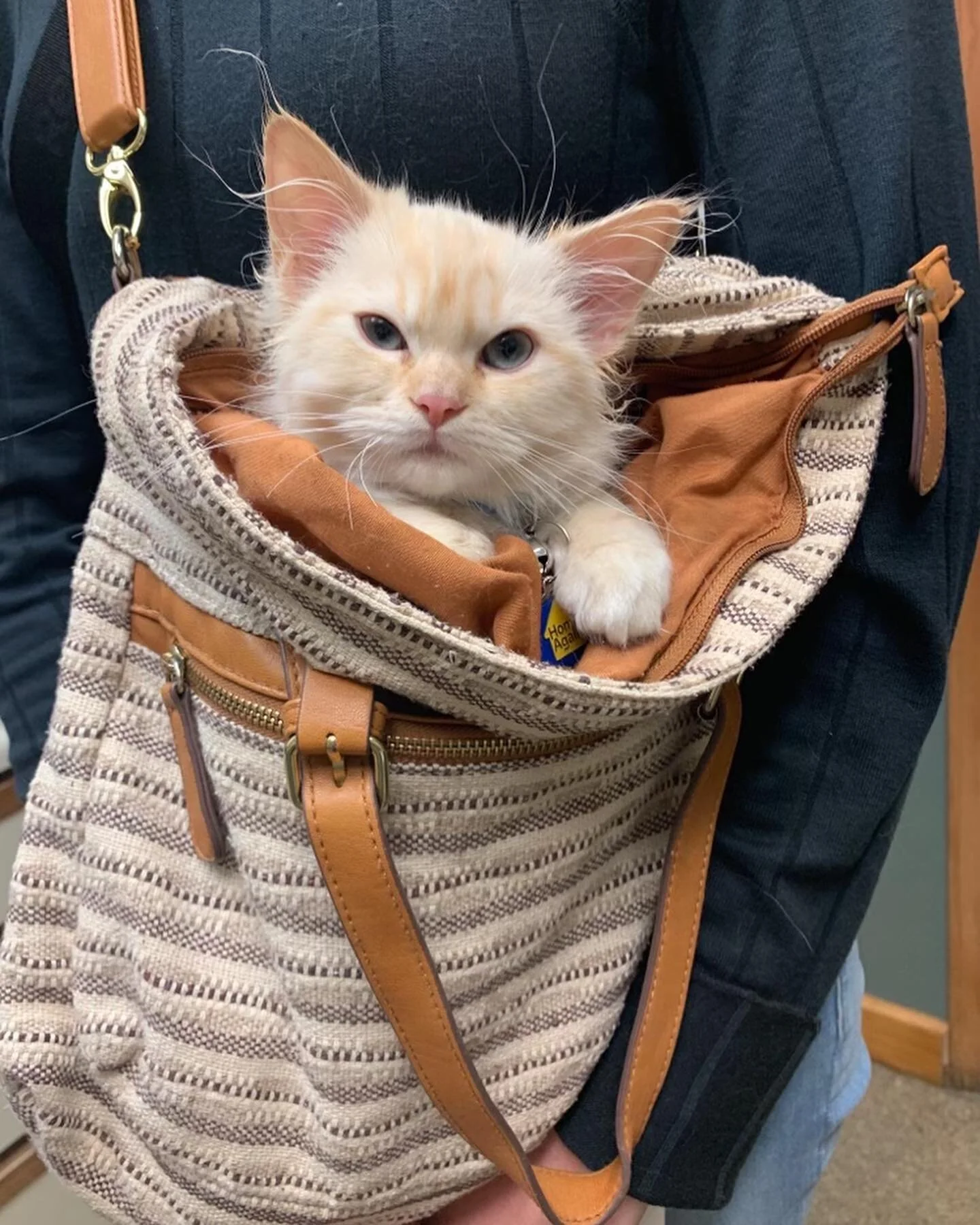 Blair Doon Veterinary Hospital