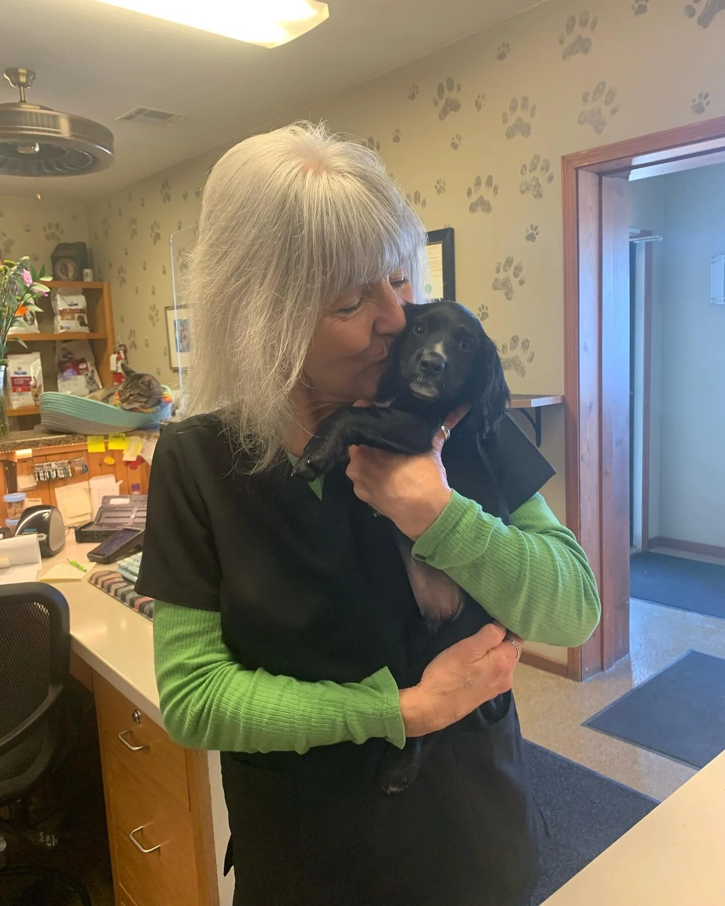 Blair Doon Veterinary Hospital