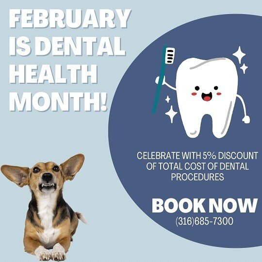 In honor of Dental Month this February, seize an opportunity for your pet&rsquo;s healthier smile. Secure a dental appointment for February and receive a 5% discount of your total cost. Additionally, if you schedule a dental in February for March or 