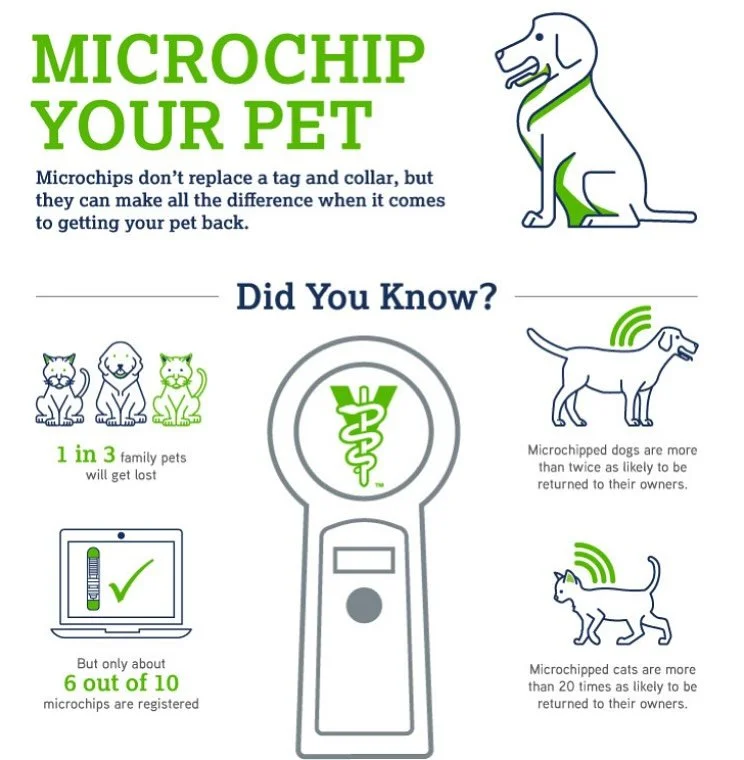 📅 August 15 is National Check the Chip Day!

A microchip is only helpful if it&rsquo;s up to date! 🐾
Today&rsquo;s the perfect time to double-check your pet&rsquo;s chip info and make sure it&rsquo;s registered with your current contact details. 

