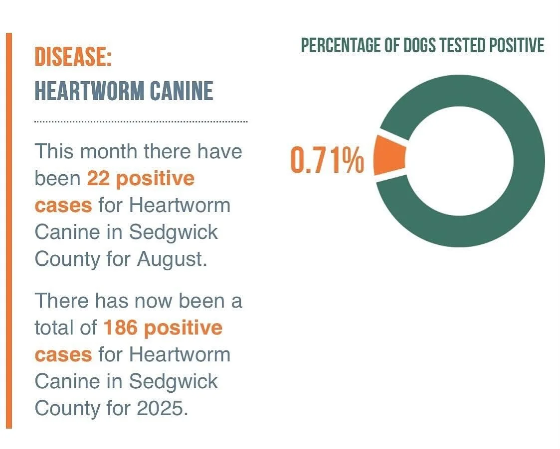 🚨 Mosquitoes are STILL a big deal! 🚨
This month alone, Sedgwick County diagnosed 22 dogs with heartworm disease&mdash;a serious and potentially deadly condition spread by mosquitoes.

The good news? It&rsquo;s preventable!
Protect your pup with a P