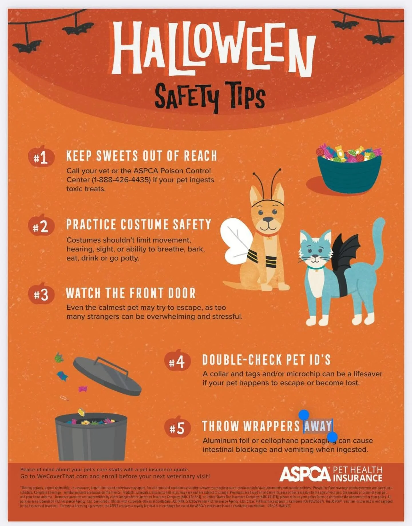 ππΎ Halloween Safety Tips for Pets πΎπ
Halloween can be full of fun for us, but it can also bring some hidden dangers for our furry friends. Keep your pets safe and stress-free this spooky season with these simple tips:
π» Keep the treats away! C