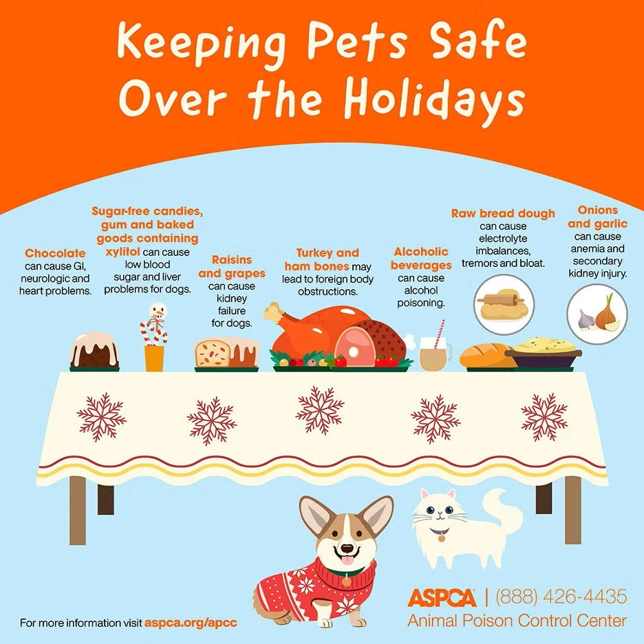 Happy Thanksgiving to you and your pets! 

It is best to never feed table food to your pets, but we know it&rsquo;s hard to resist sharing - especially during the holidays. Just remember to share your food sparingly to avoid pet vomiting and diarrhea