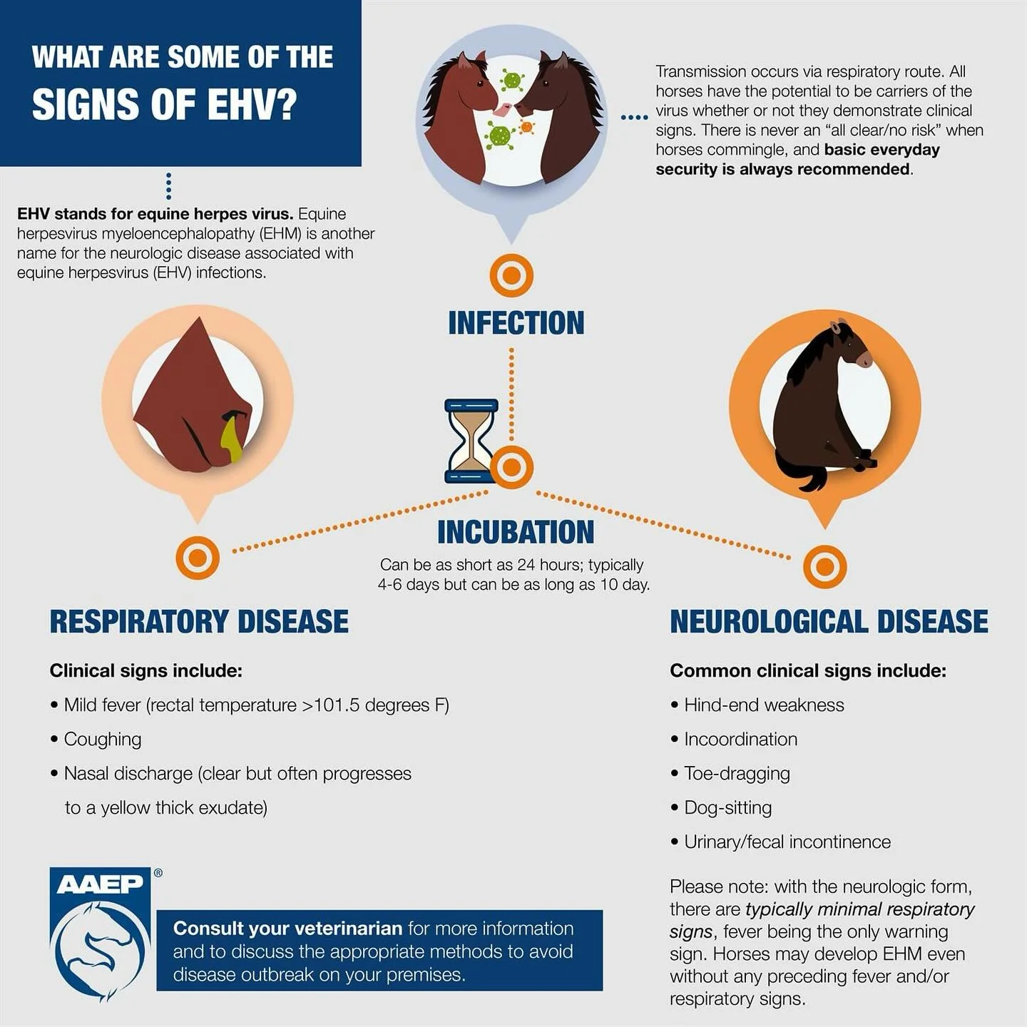 We&rsquo;re currently monitoring an equine herpesvirus (EHV) outbreak in our area. If this is your first time dealing with something like this, don&rsquo;t worry &mdash; we&rsquo;re here to help you through every step.
👉 What you should do right now
