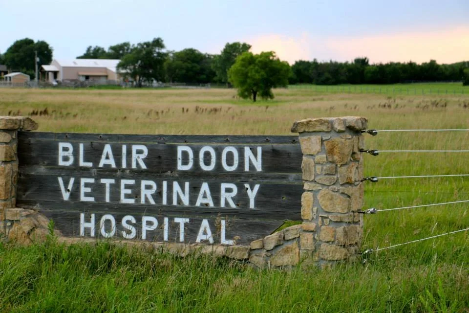 Blair Doon Veterinary Hospital