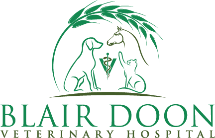 Blair Doon Veterinary Hospital