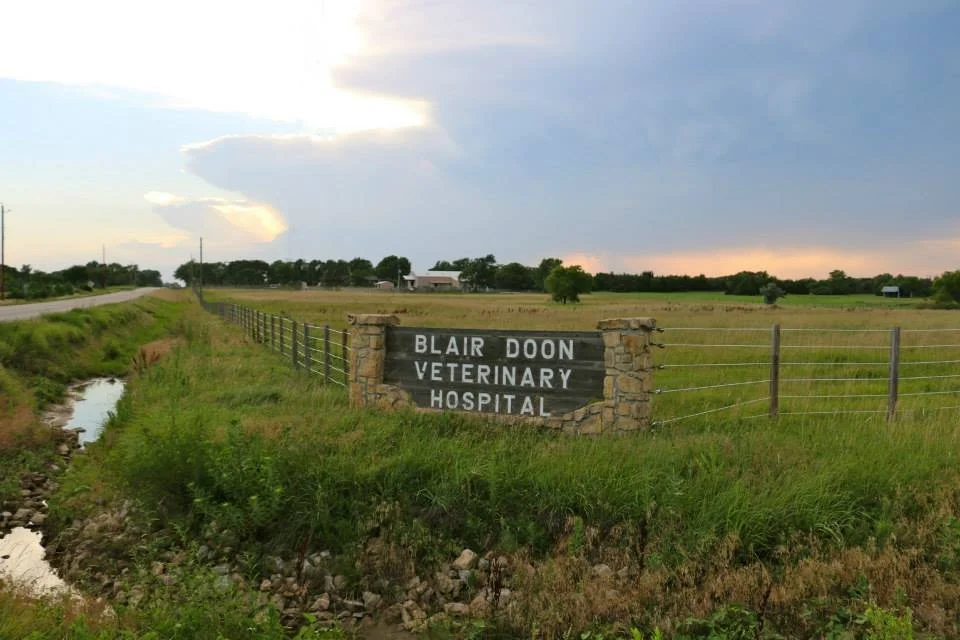 Blair Doon Veterinary Hospital