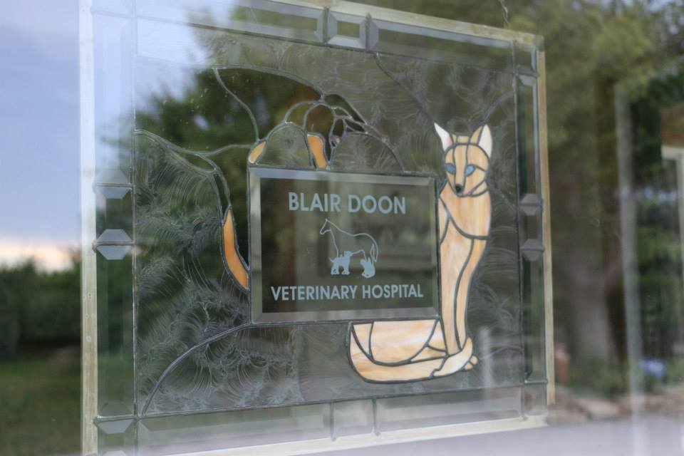 Blair Doon Veterinary Hospital