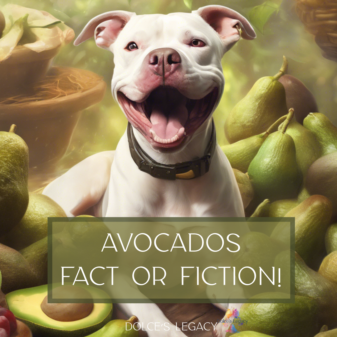 Avocados. Fact or Fiction!