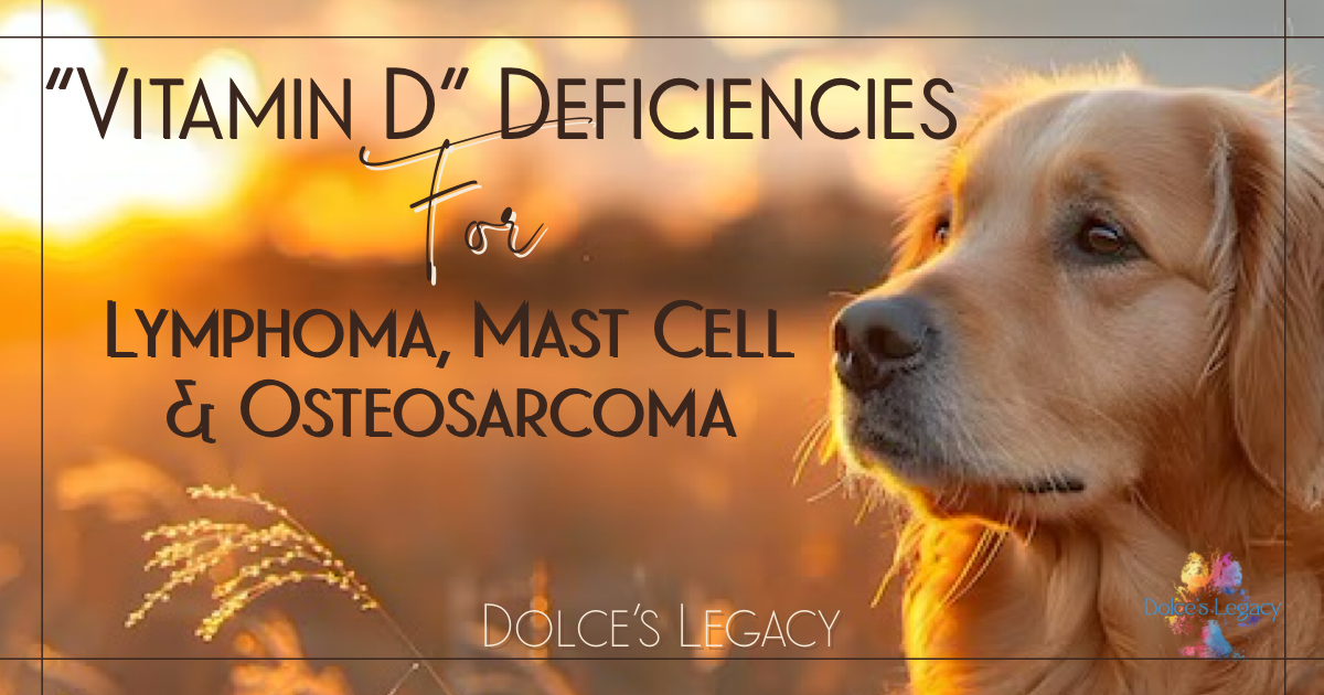 Vitamin D and your Dogs Cancer